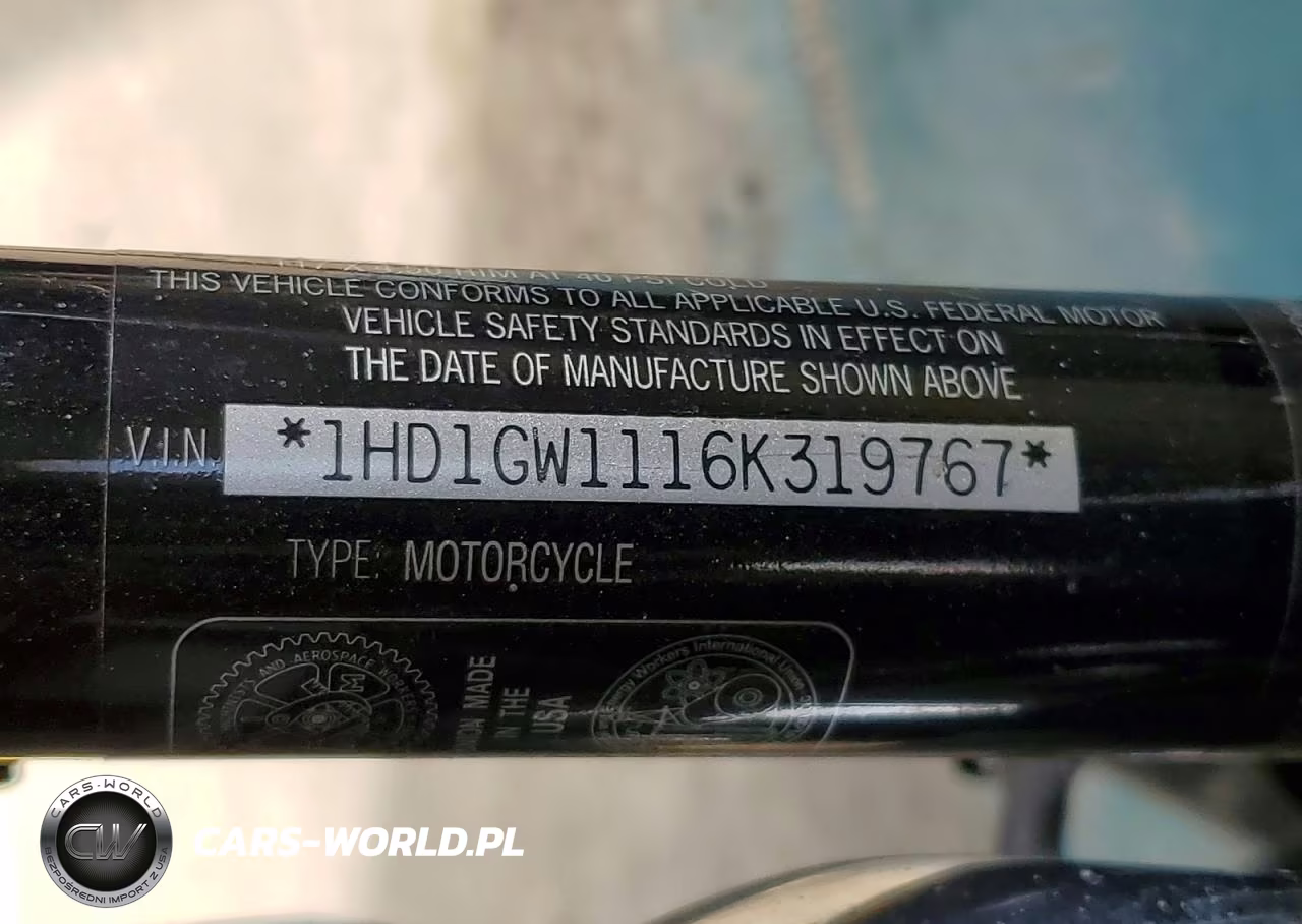 2006 Harley-Davidson Fxdi35 VIN:1HD1GW1116K319767 - 9