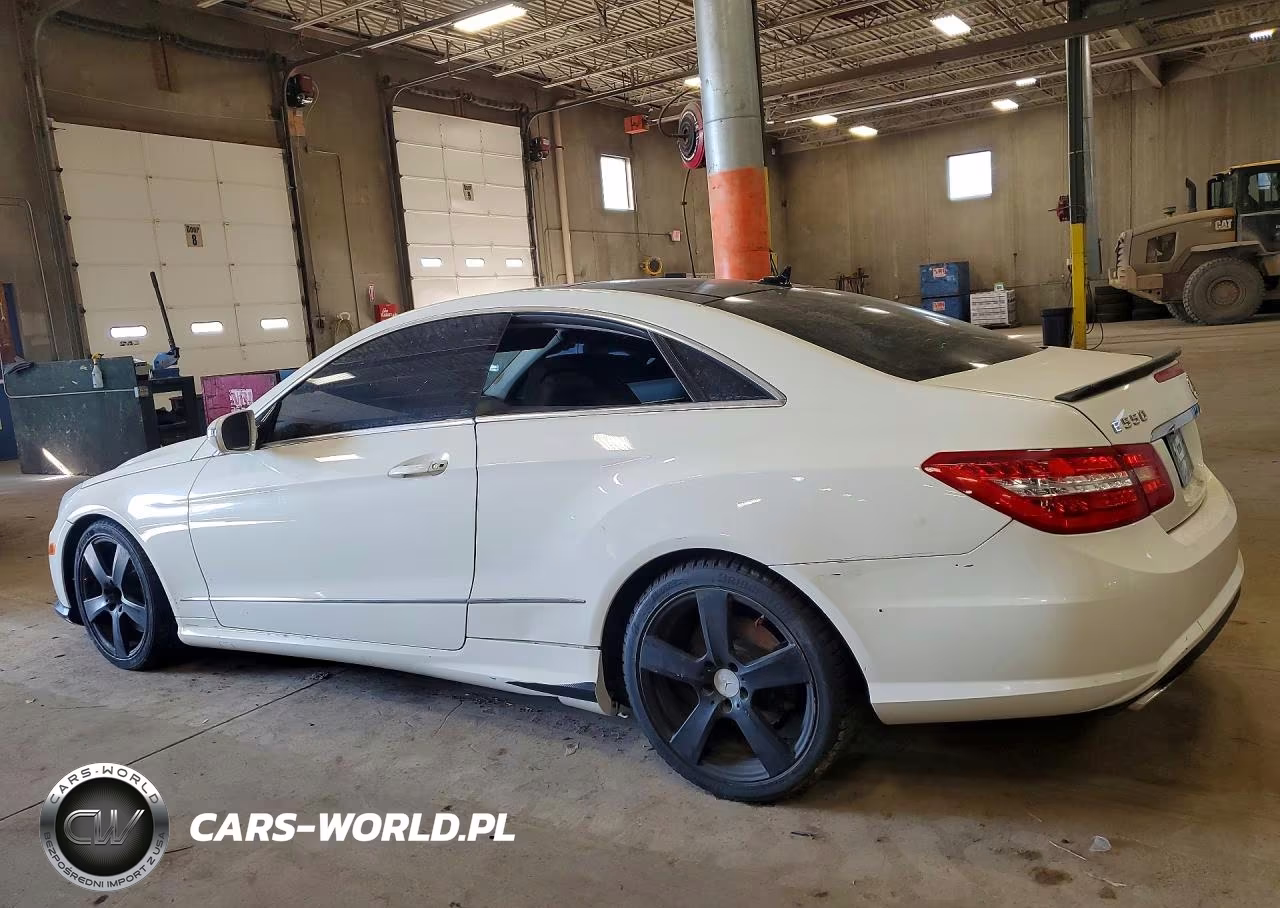 2010 Mercedes-Benz E 550 VIN:WDDKJ7CB5AF004450 - 2