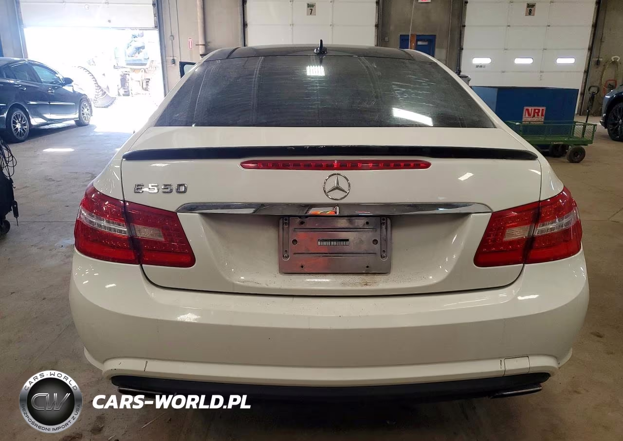 2010 Mercedes-Benz E 550 VIN:WDDKJ7CB5AF004450 - 6