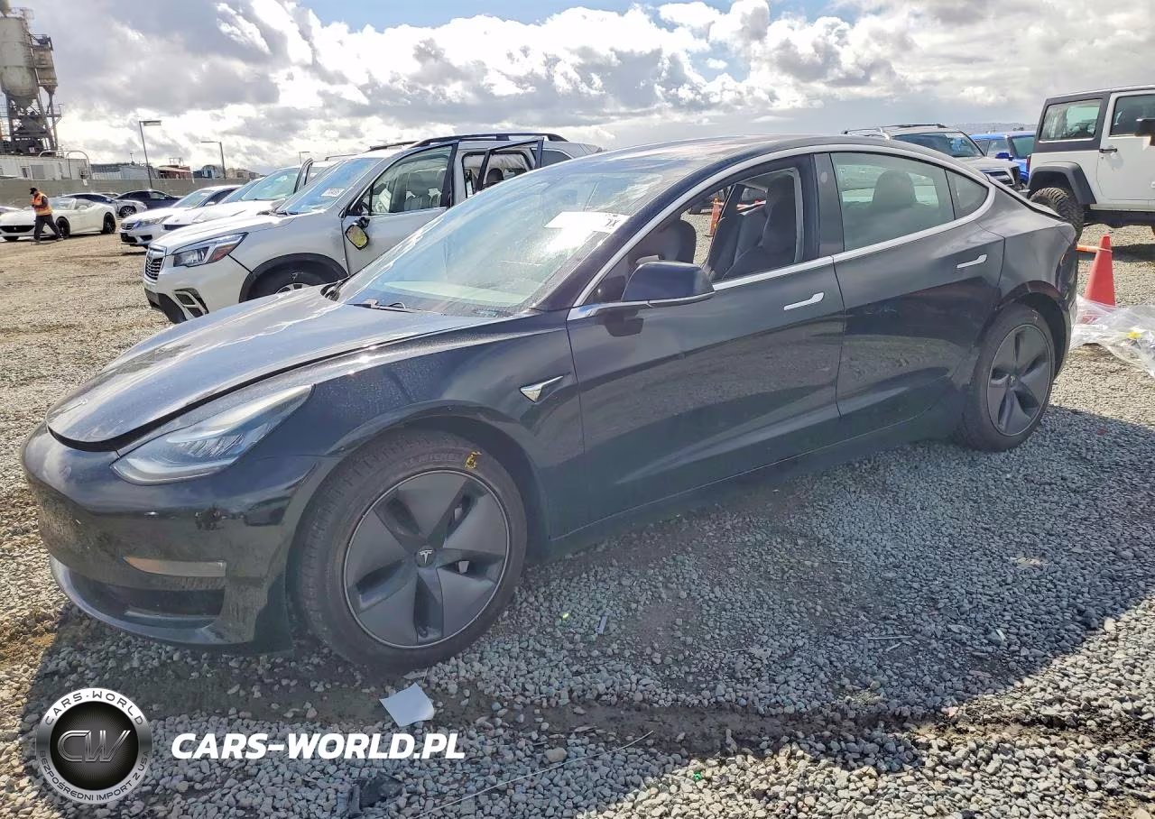 2019 Tesla Model 3