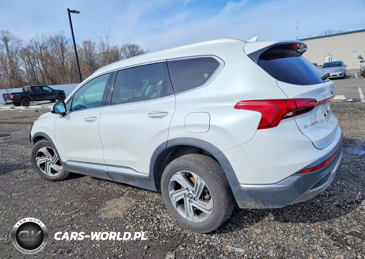 2021 Hyundai Santa Fe Sel VIN:5NMS64AJ0MH331429 - 2