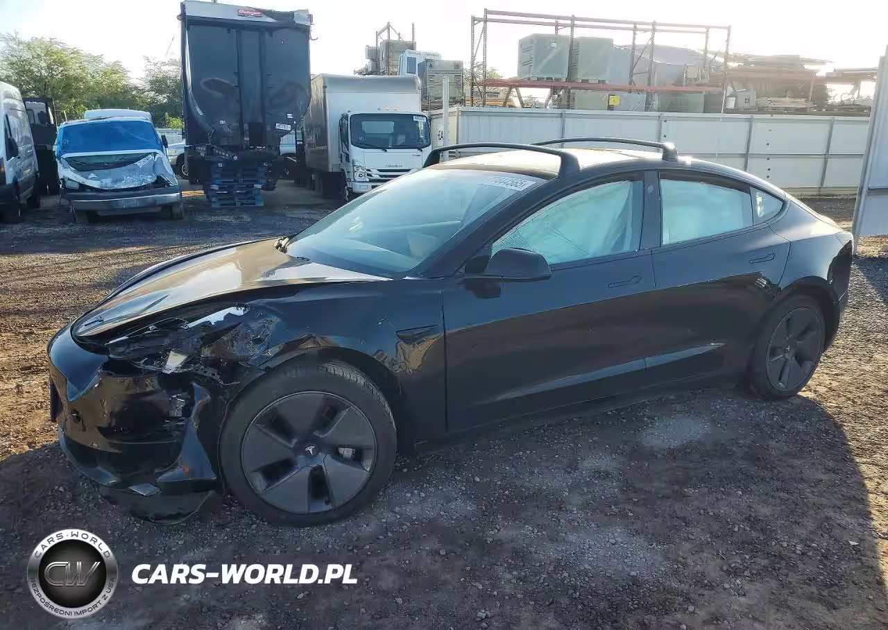 2021 Tesla Model 3