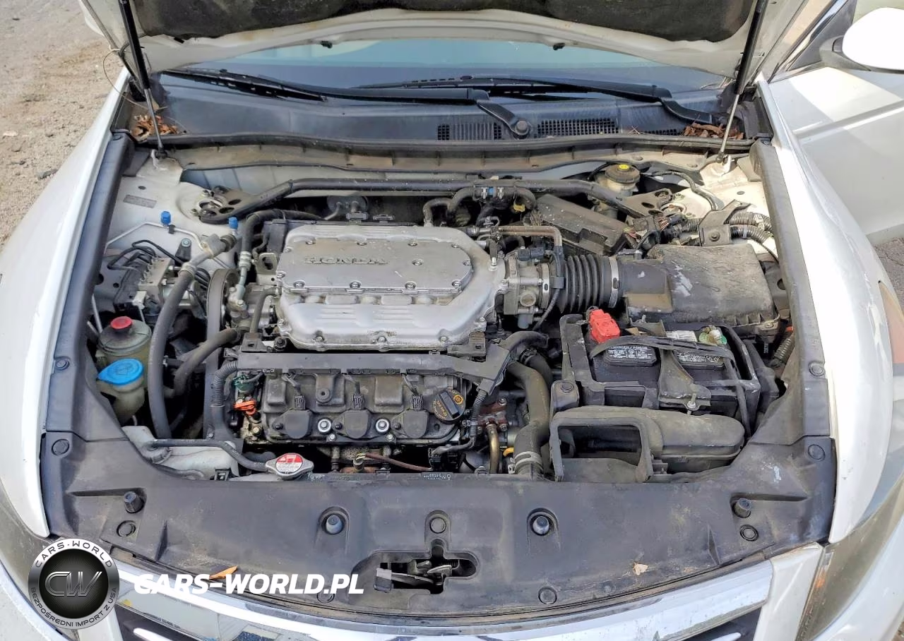 2012 Honda Accord Exl VIN:1HGCP3F83CA040175 - 11