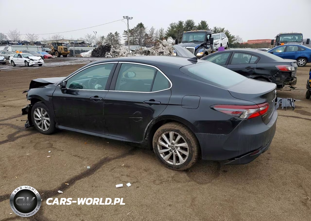 2021 Toyota Camry Le VIN:4T1C11BK5MU033004 - 2