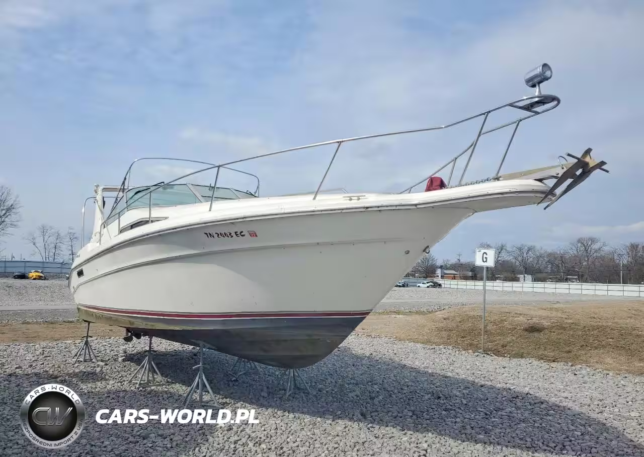 1990 Sea Ray Boat