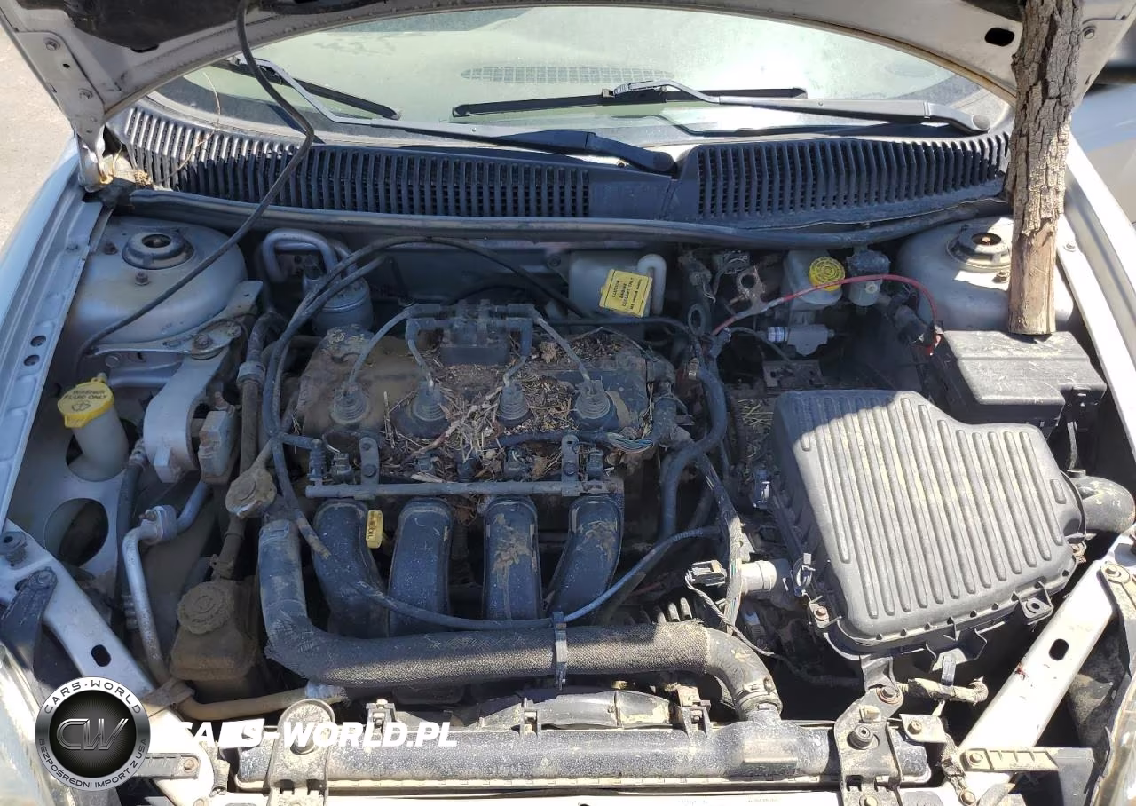 2004 Dodge Neon Sxt VIN:1B3ES56C64D577226 - 11