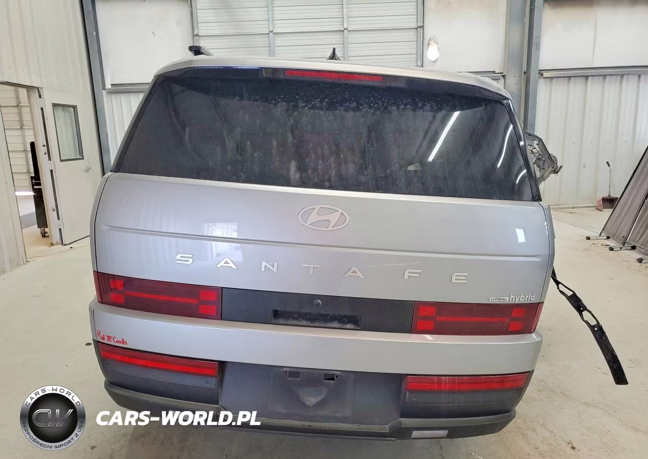 2025 Hyundai Santa Fe Hybrid Sel VIN:5NMP2DG17SH020439 - 6