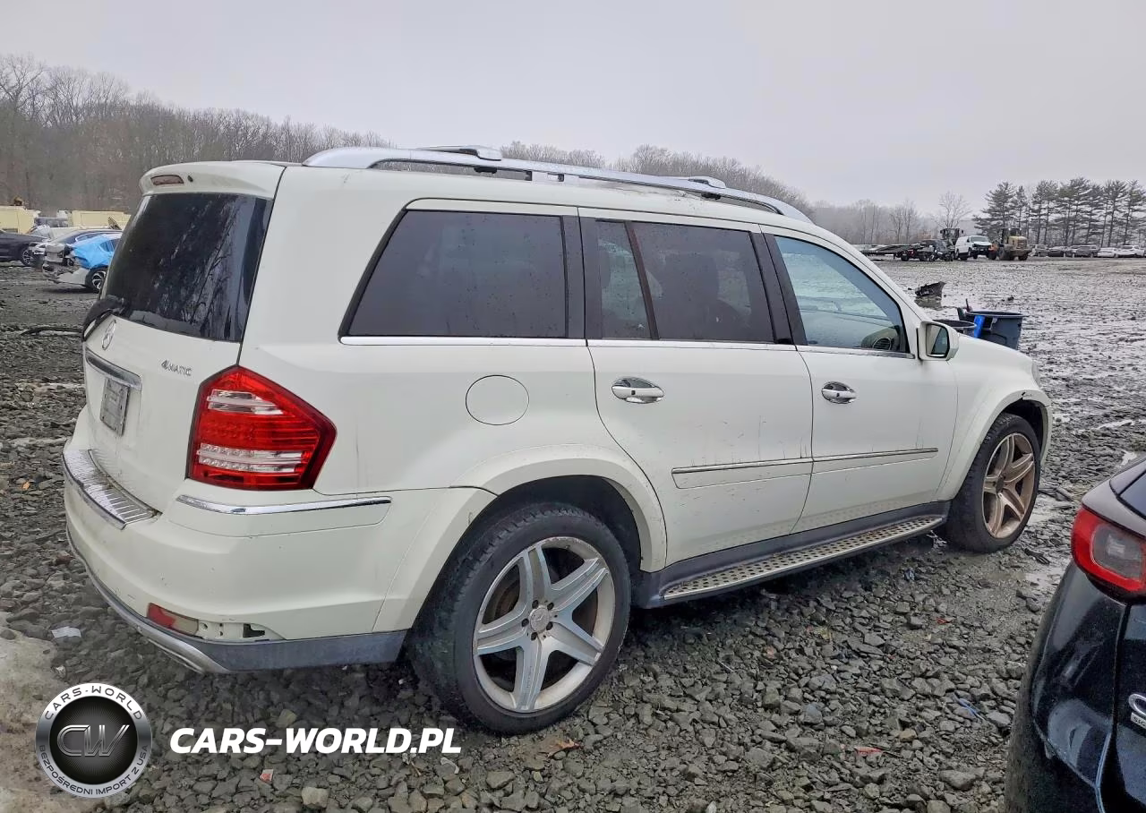 2010 Mercedes-Benz Gl 550 4Matic VIN:4JGBF8GE0AA603383 - 3