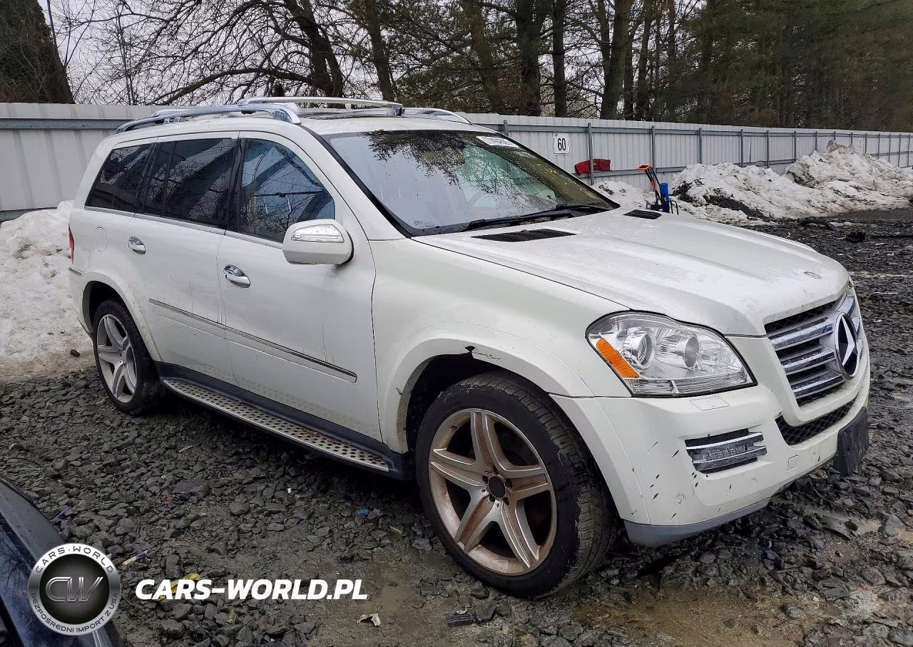 2010 Mercedes-Benz Gl 550 4Matic VIN:4JGBF8GE0AA603383 - 4