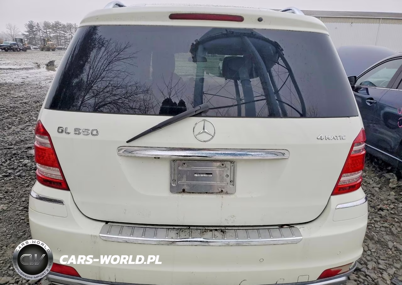 2010 Mercedes-Benz Gl 550 4Matic VIN:4JGBF8GE0AA603383 - 6