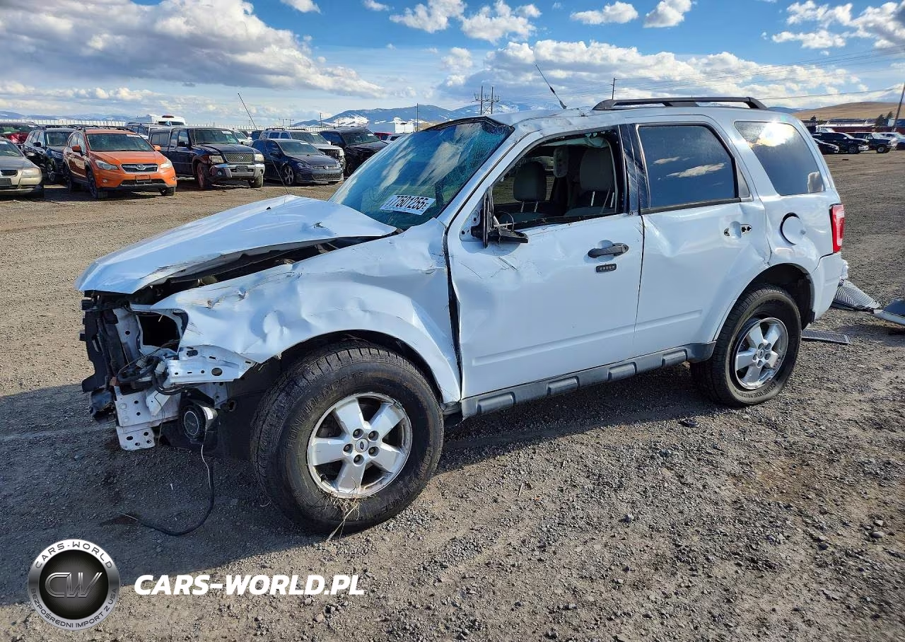 2010 Ford Escape Xlt