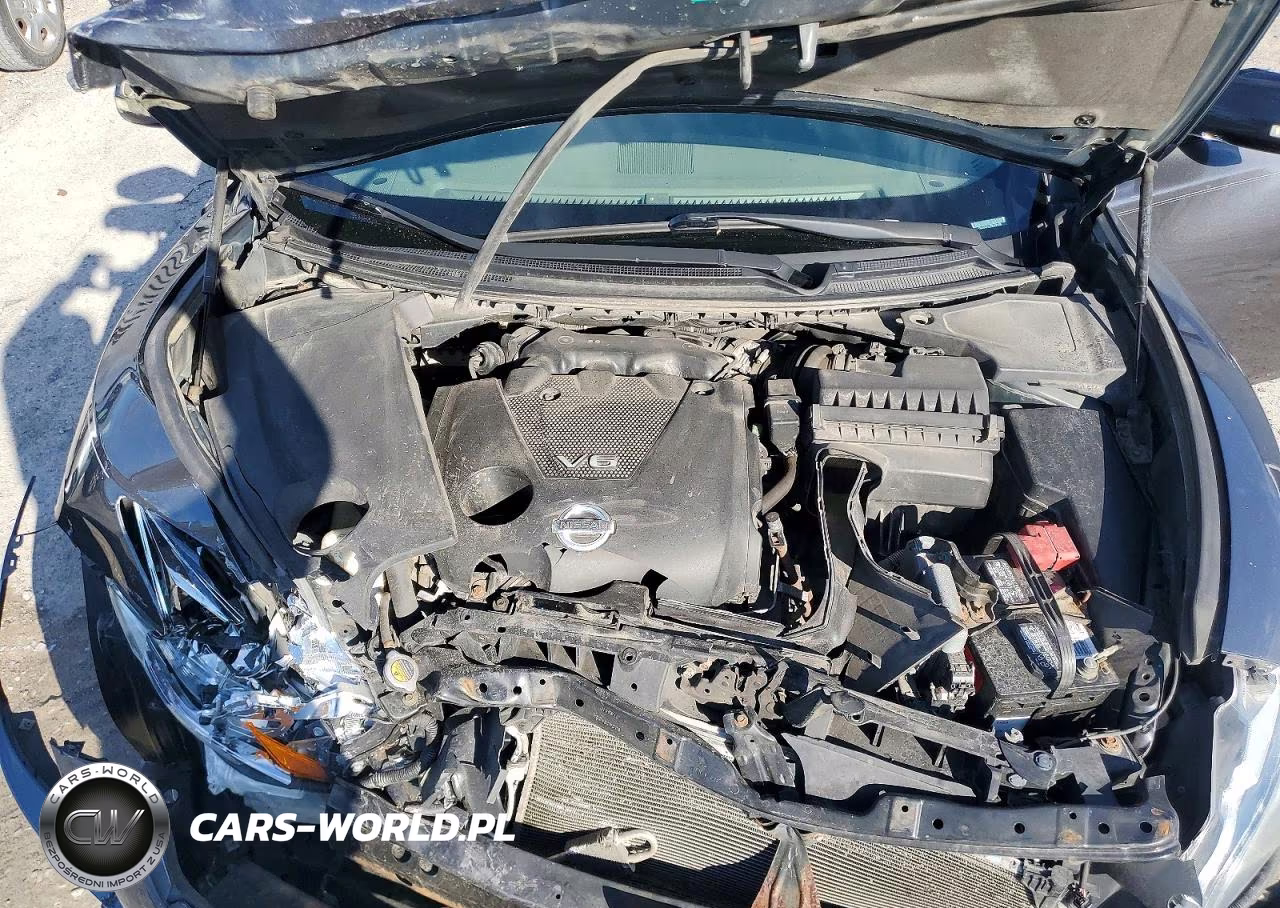 2009 Nissan Maxima 3.5 S VIN:1N4AA51E29C830196 - 11