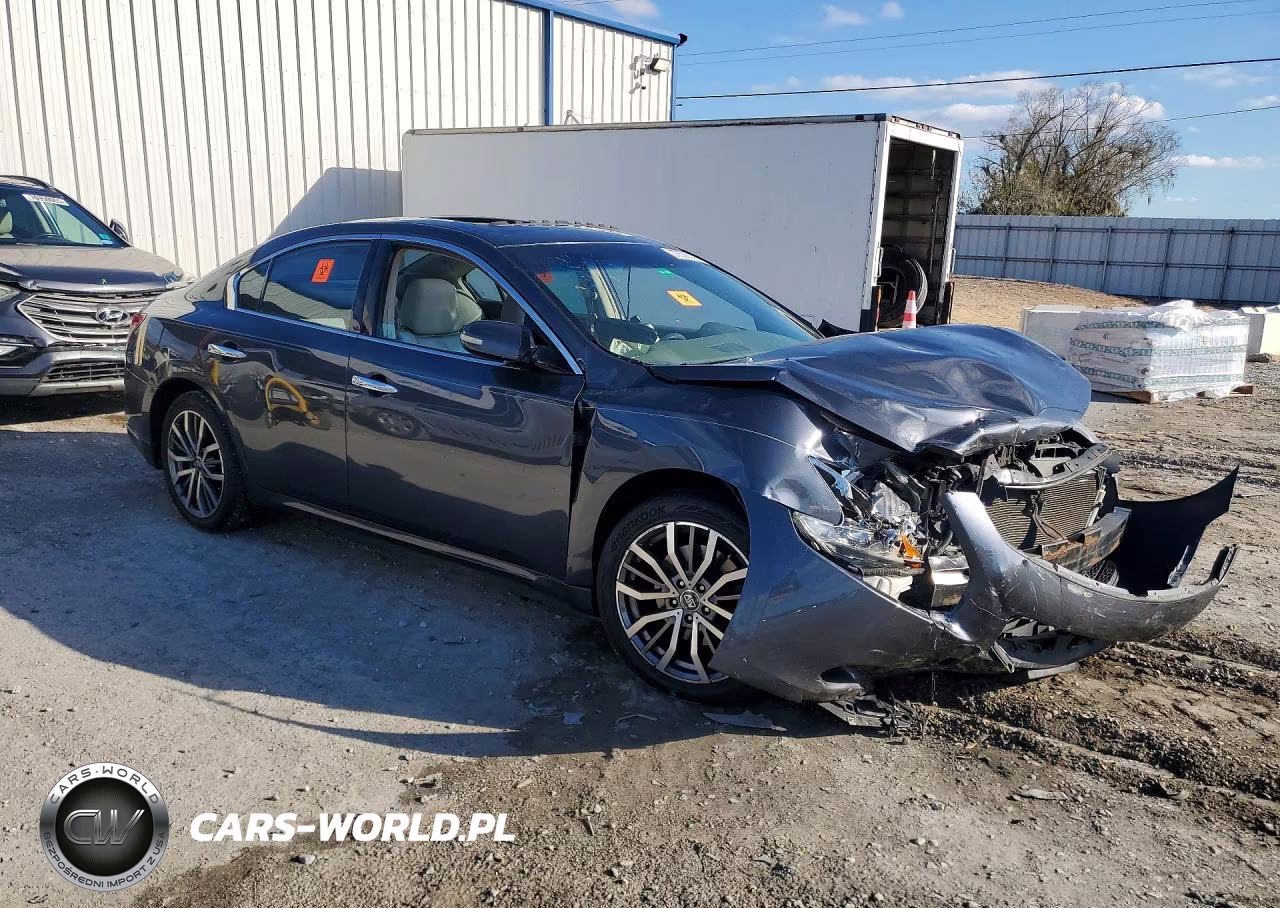 2009 Nissan Maxima 3.5 S VIN:1N4AA51E29C830196 - 4