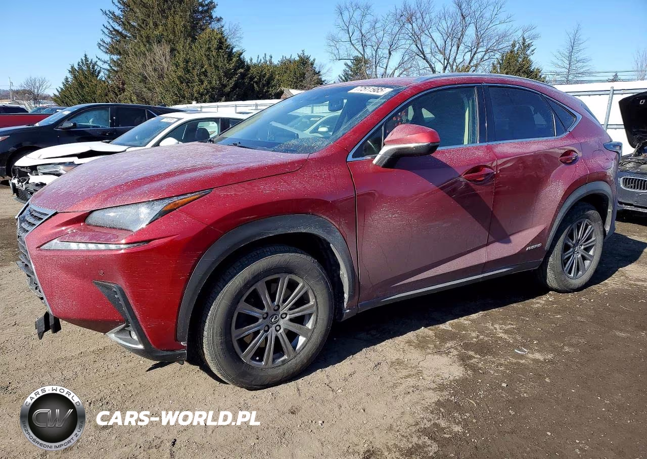 2019 Lexus Nx 300H