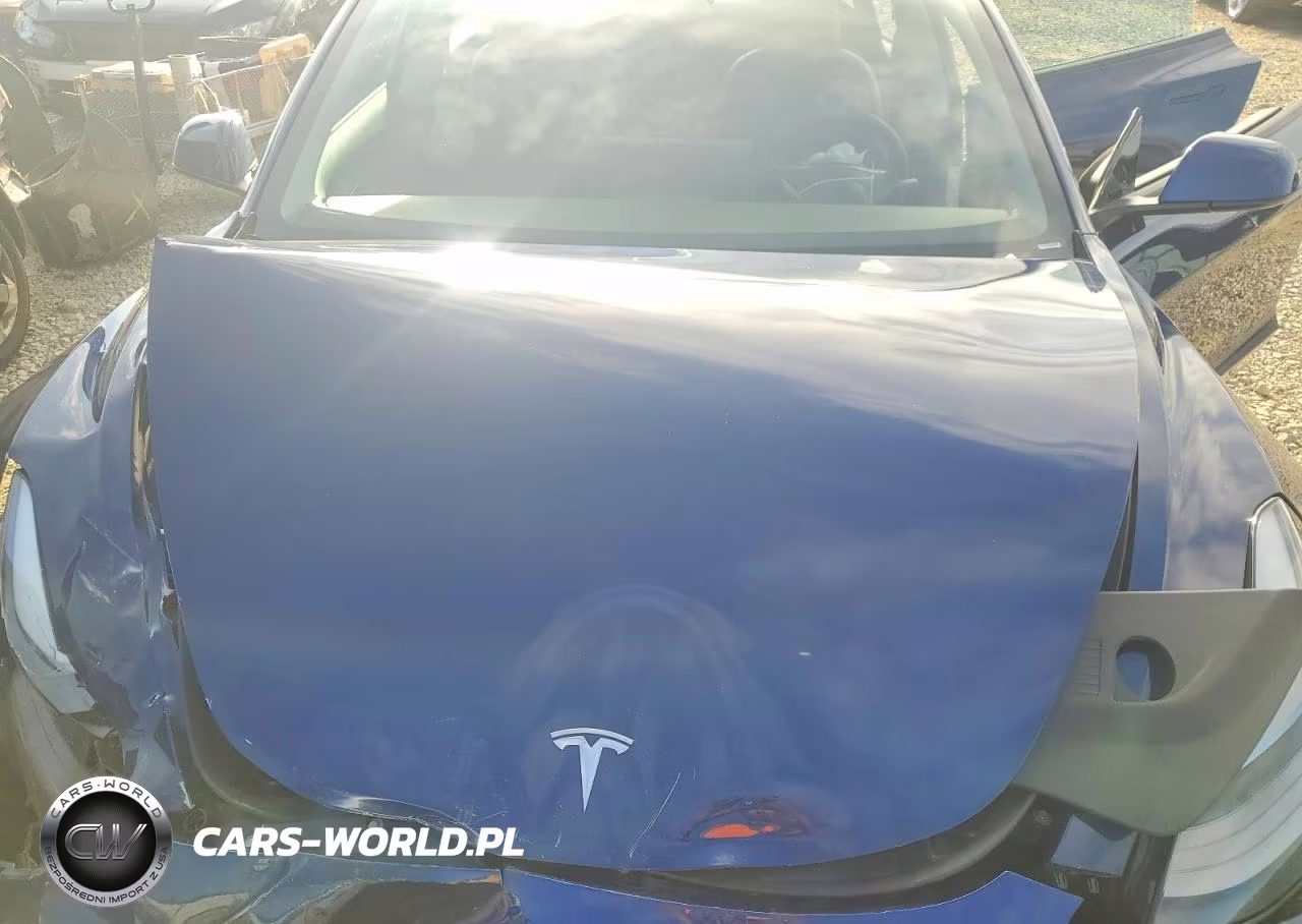 2021 Tesla Model 3 VIN:5YJ3E1EB5MF064735 - 11