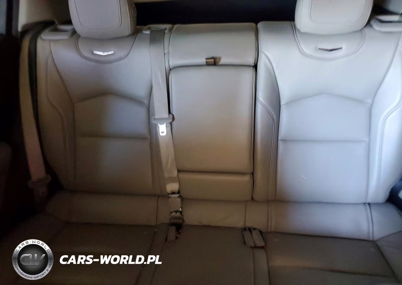 2019 Cadillac Xt4 Premium Luxury VIN:1GYFZCR48KF100865 - 10