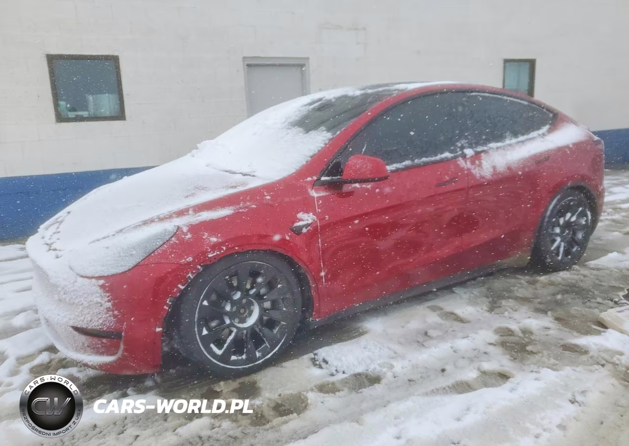 2017 Tesla Model Y
