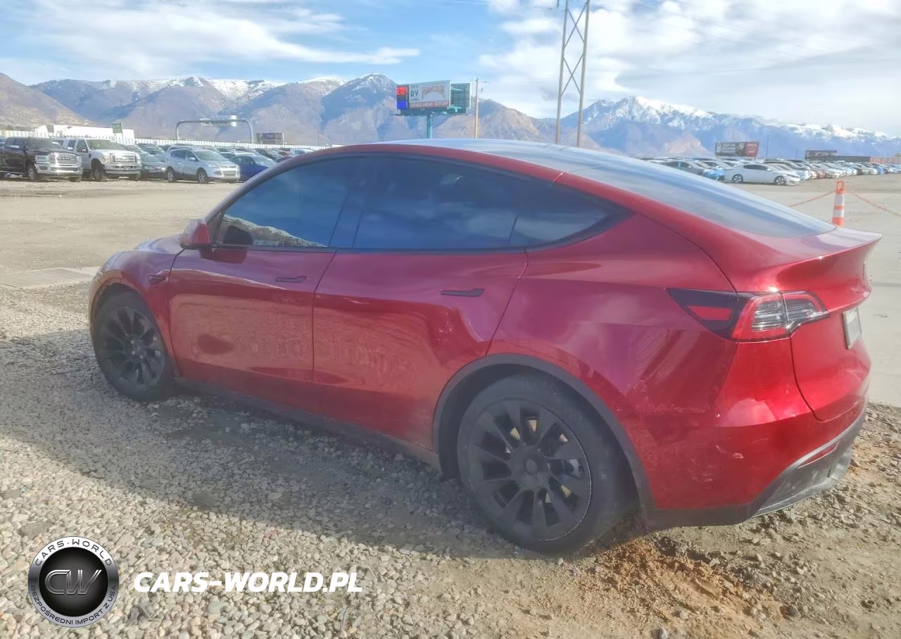 2017 Tesla Model Y VIN:7SAYGAEE0SF304221 - 2