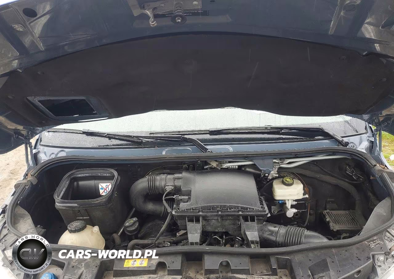 2019 Mercedes Benz Sprinter 2500 Delivery Van VIN:WD4PF0CDXKP030845 - 12