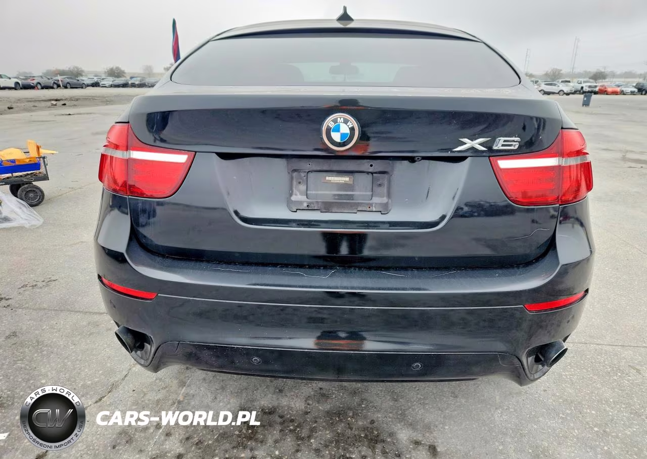 2013 BMW X6 xDrive35I VIN:5UXFG2C52DL785245 - 6