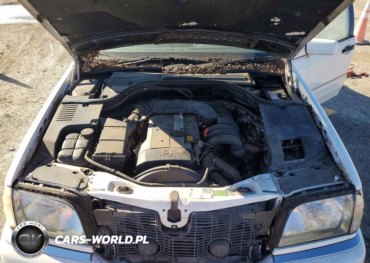 1999 Mercedes-Benz S-Class VIN:WDBGA32G9XA419734 - 11