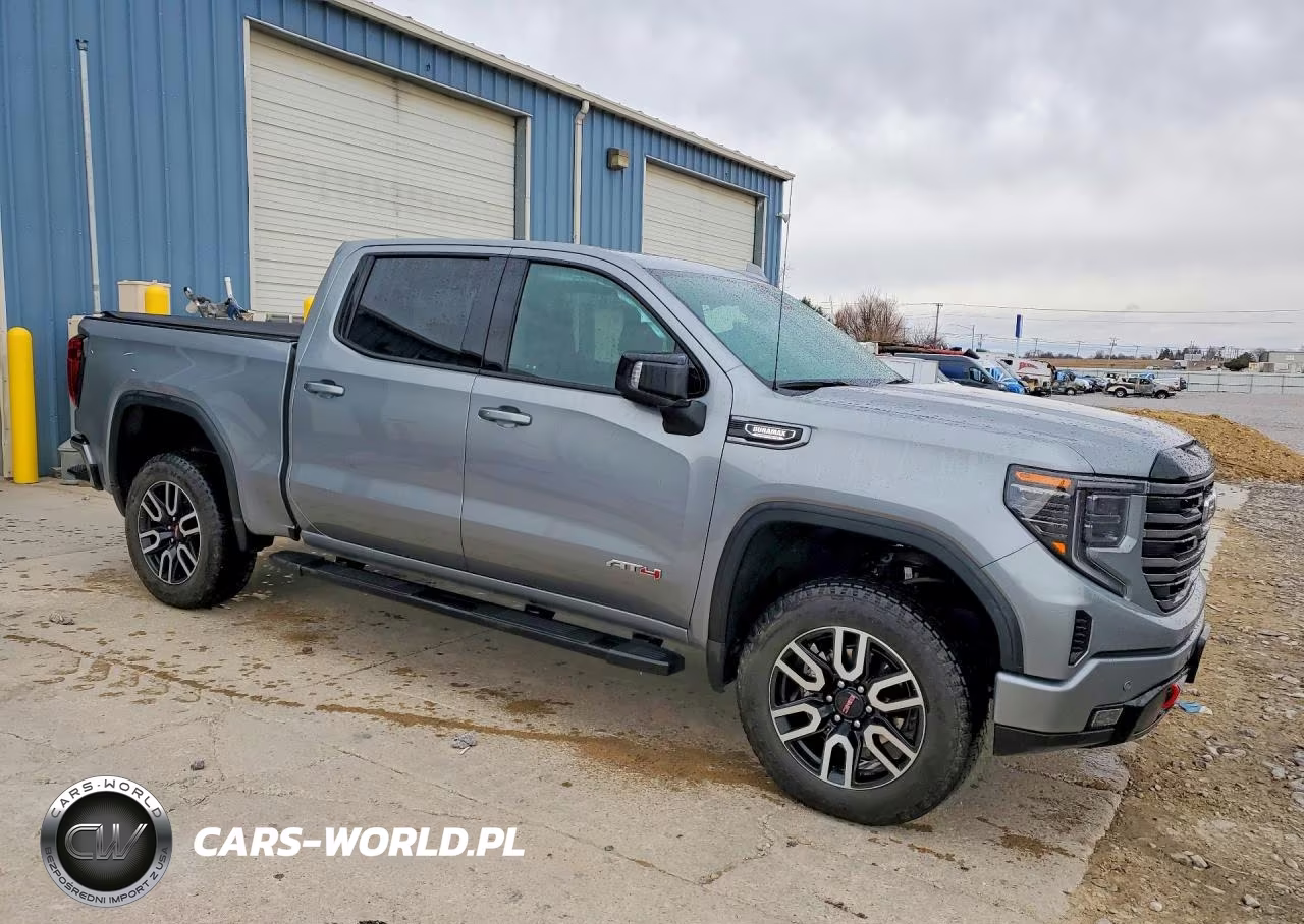 2025 GMC Sierra K1500 At4 VIN:3GTUUEE87SG174826 - 4
