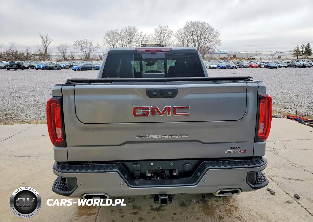 2025 GMC Sierra K1500 At4 VIN:3GTUUEE87SG174826 - 6