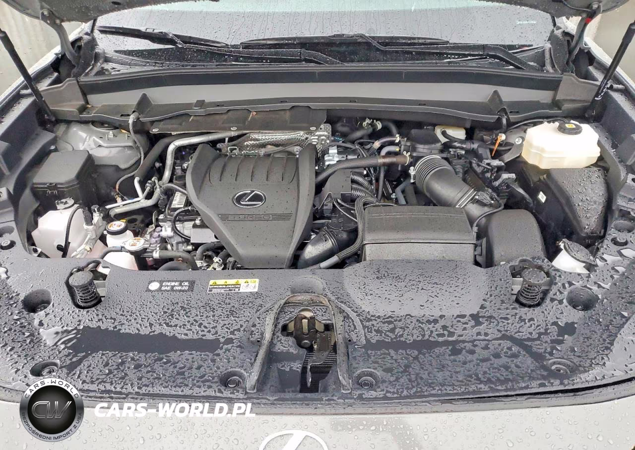 2025 Lexus Tx 500H F Sport Premium VIN:5TDABAB63SS010558 - 12