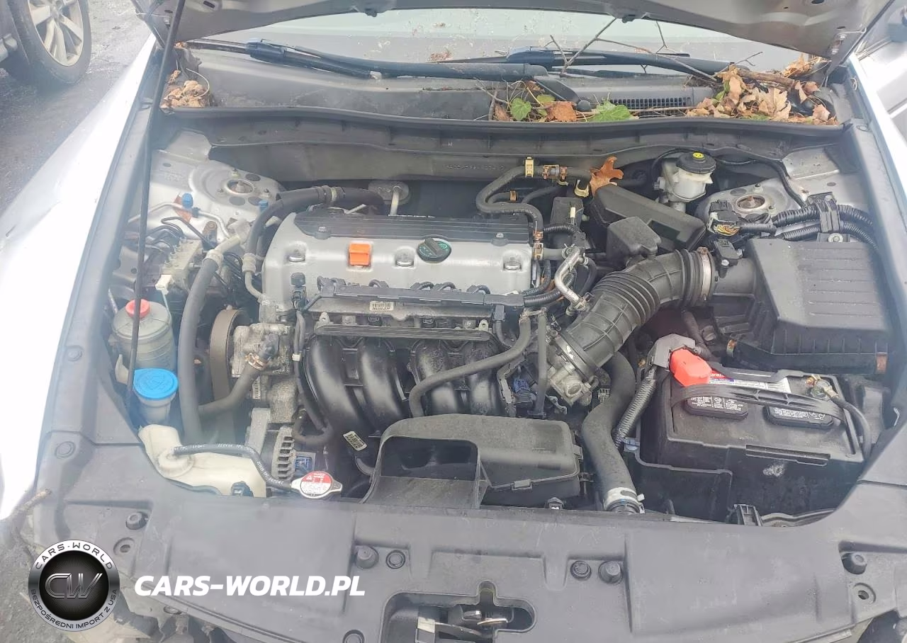 2010 Honda Accord Lx VIN:1HGCP2F38AA004171 - 11