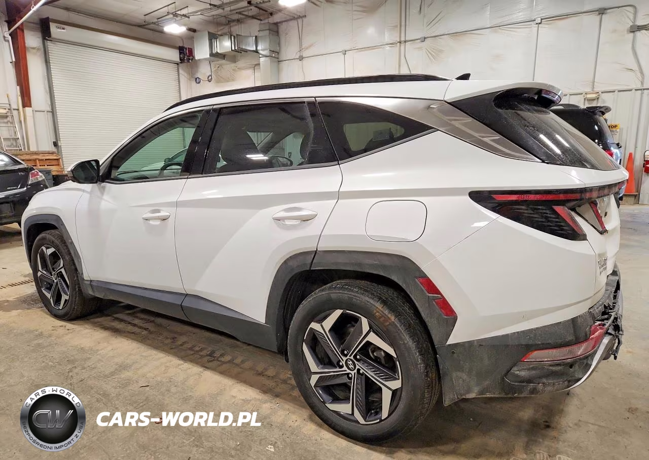 2024 Hyundai Tucson Limited VIN:KM8JECD13RU148879 - 2