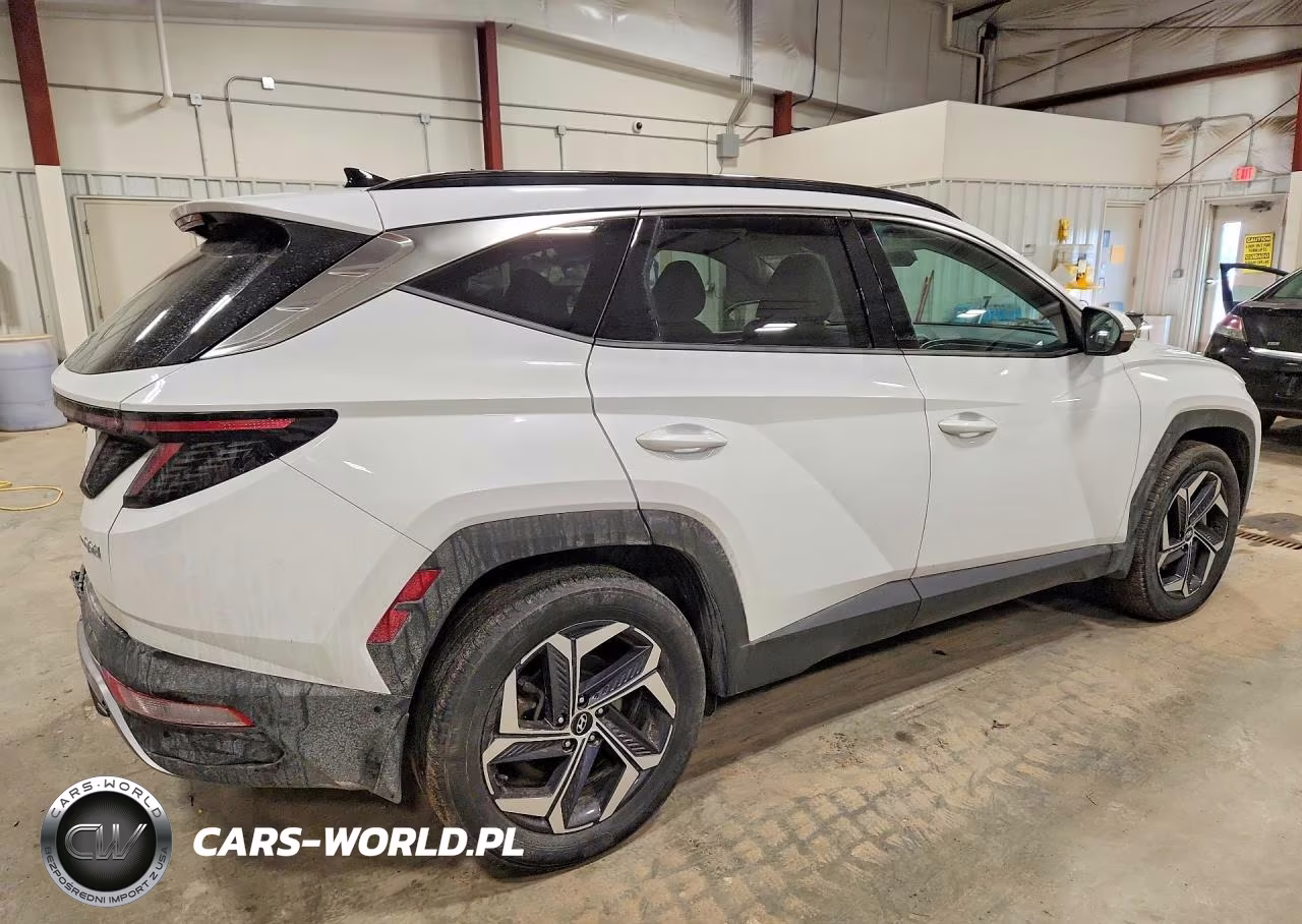 2024 Hyundai Tucson Limited VIN:KM8JECD13RU148879 - 3