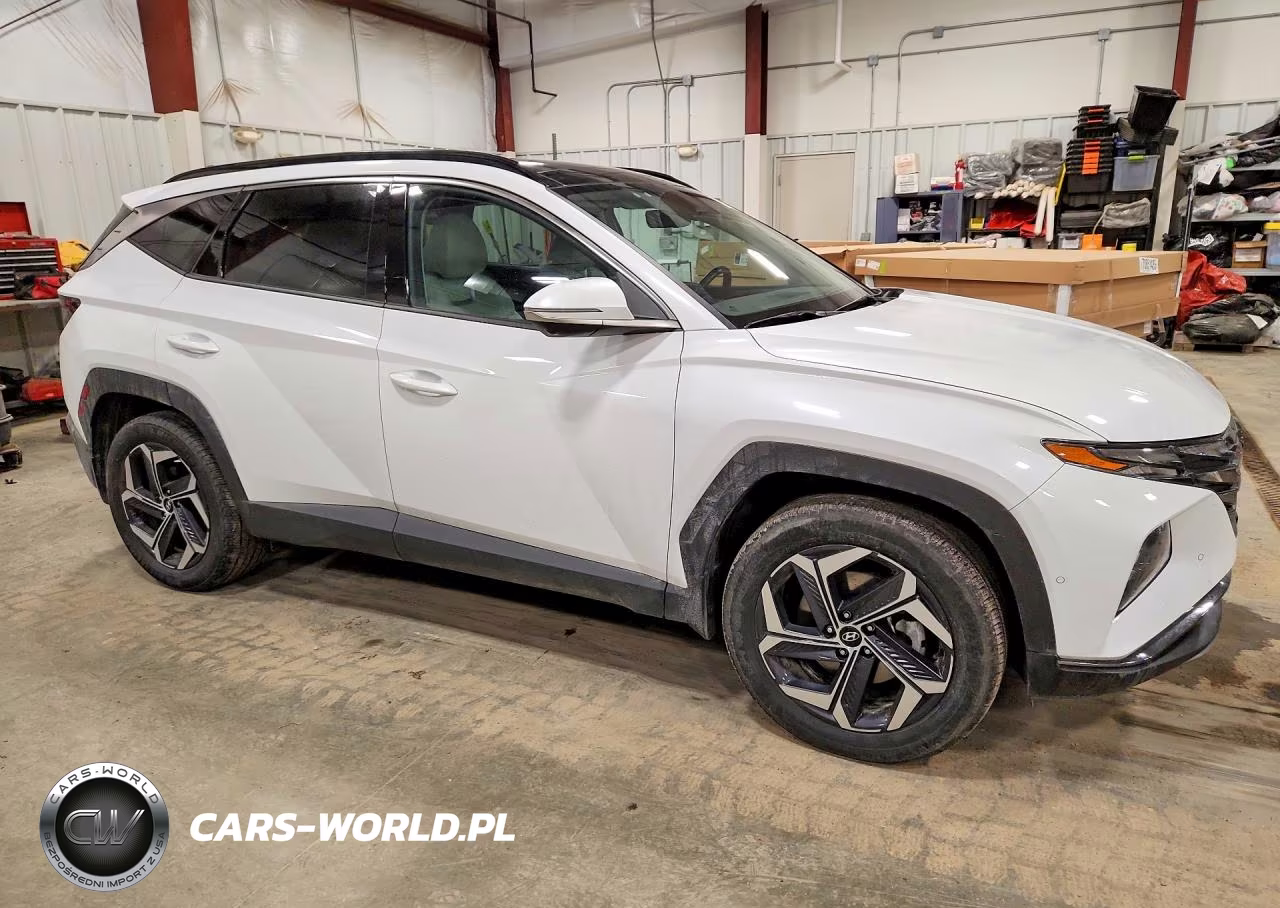 2024 Hyundai Tucson Limited VIN:KM8JECD13RU148879 - 4