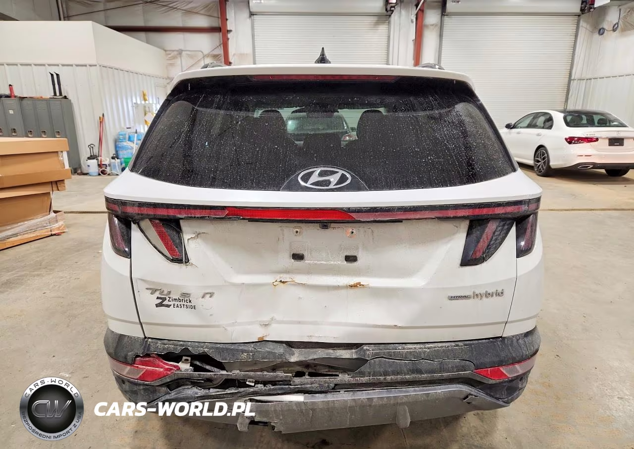 2024 Hyundai Tucson Limited VIN:KM8JECD13RU148879 - 6