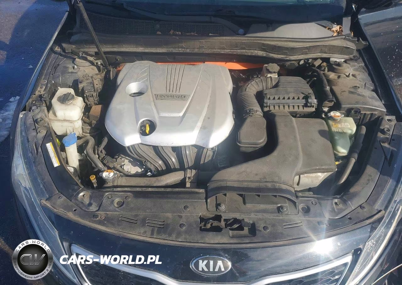 2012 Kia Optima Hybrid VIN:KNAGM4AD2C5034313 - 11
