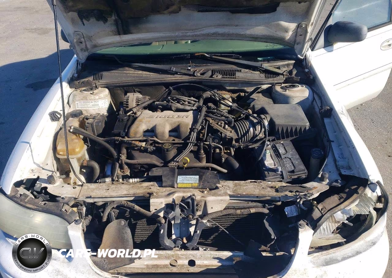 2001 Chevrolet Malibu VIN:1G1ND52J116125092 - 11