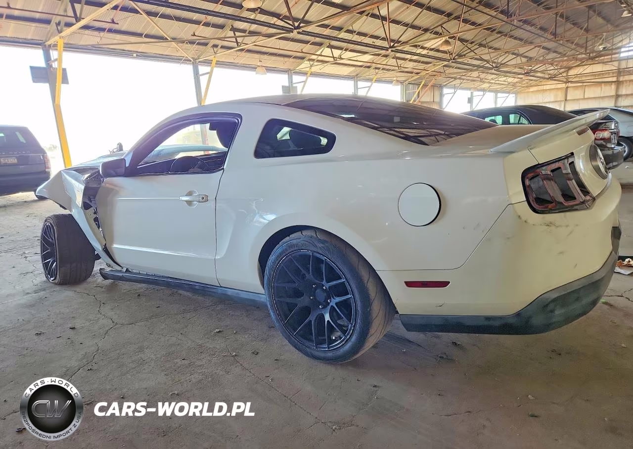 2010 Ford Mustang VIN:1ZVBP8AN0A5135557 - 2