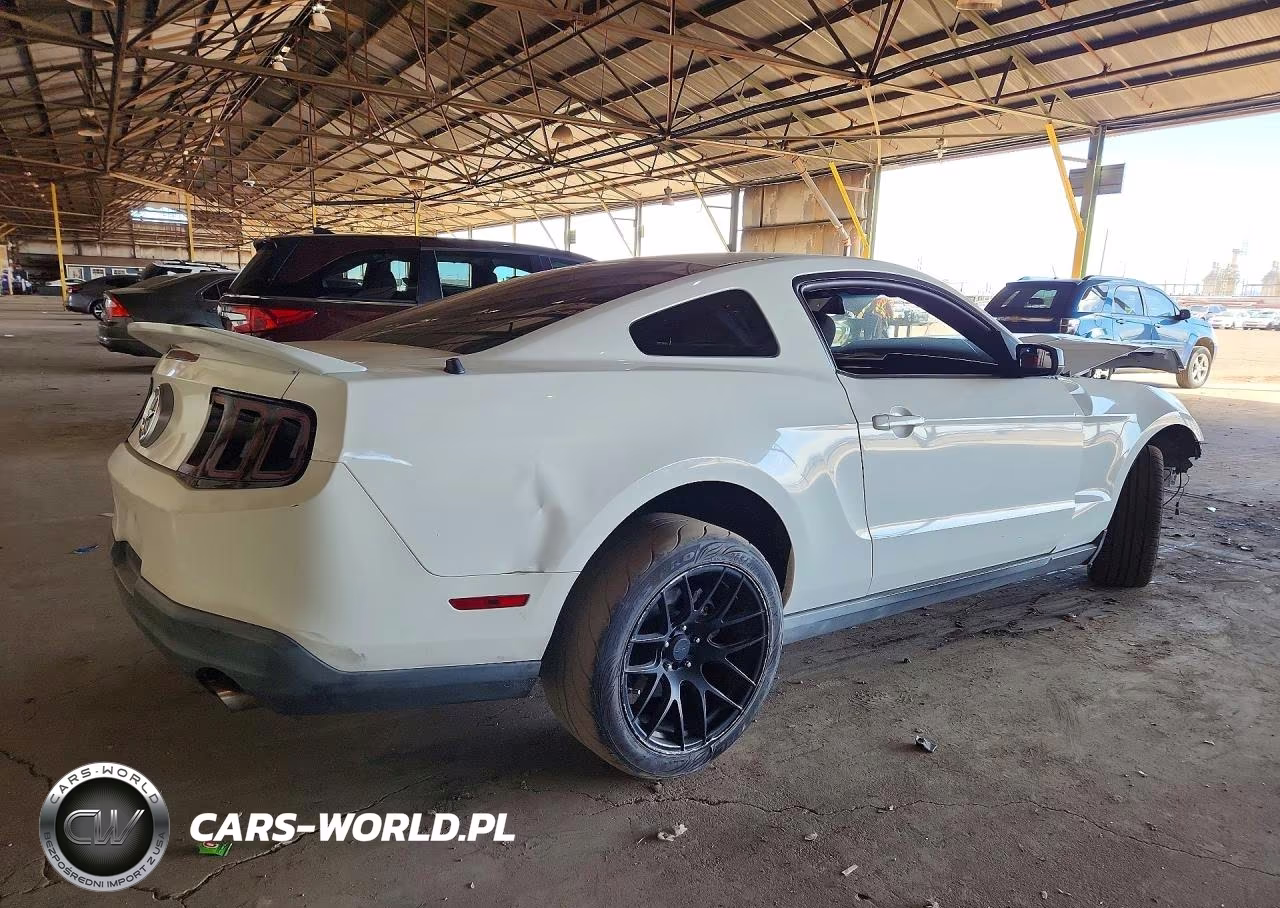 2010 Ford Mustang VIN:1ZVBP8AN0A5135557 - 3