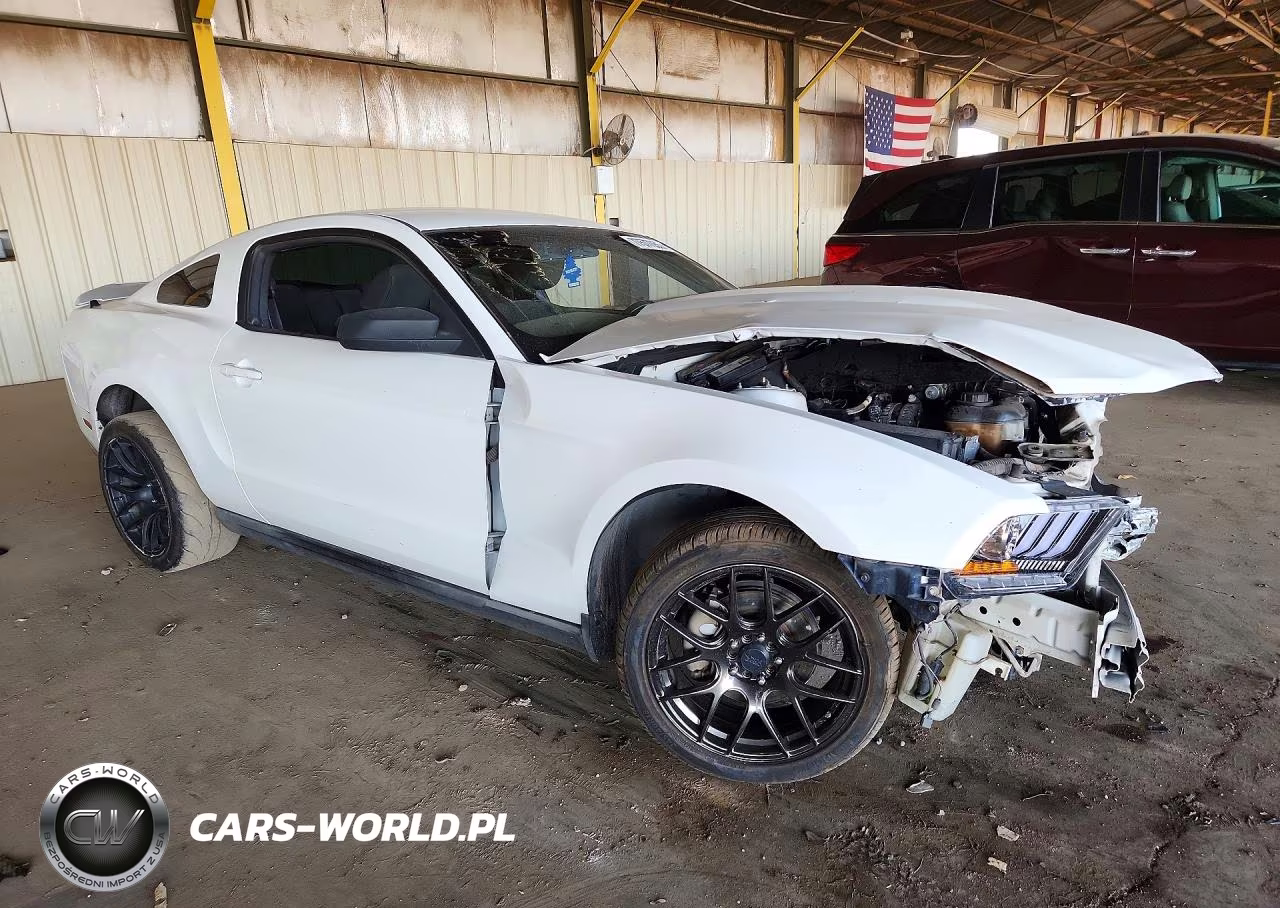 2010 Ford Mustang VIN:1ZVBP8AN0A5135557 - 4