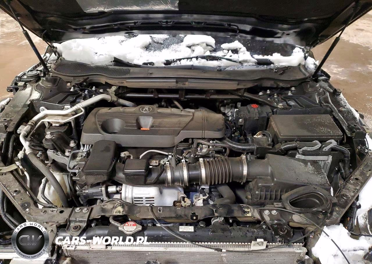 ACURA TLX TECH A VIN:19UUB6F53MA007107 - 11