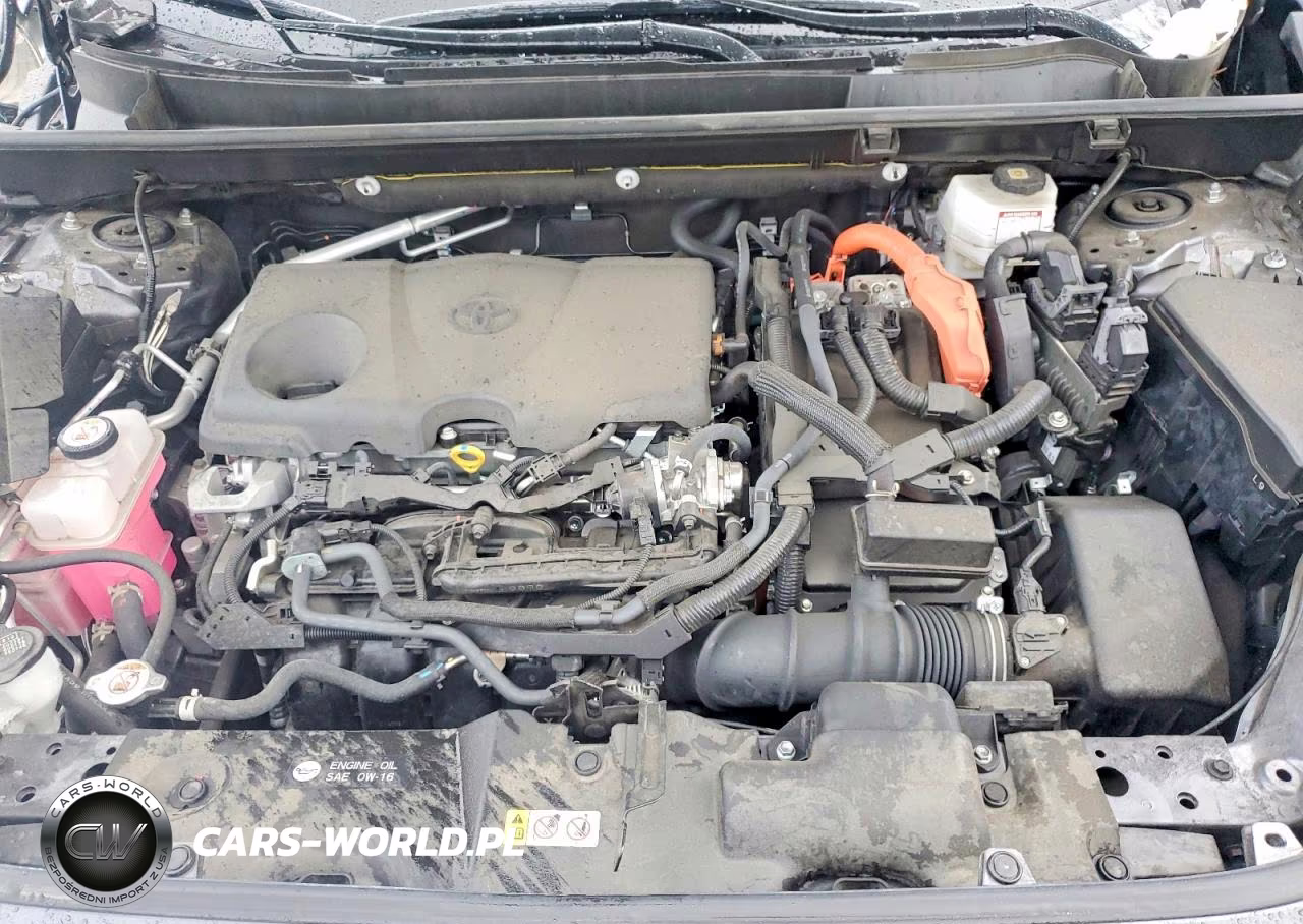 2023 Toyota Rav4 Xle Premium VIN:JTMB6RFV5PD087282 - 11