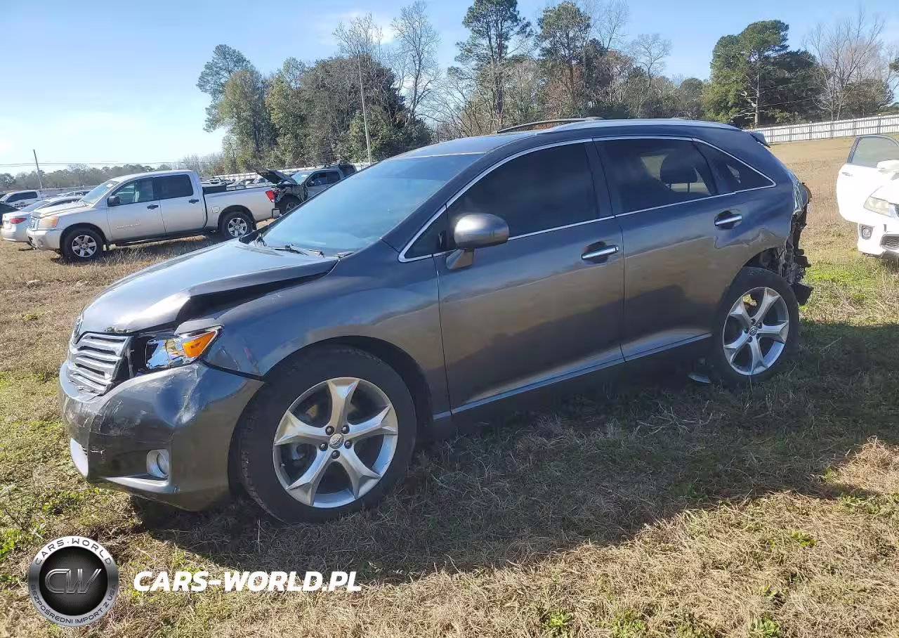 2009 Toyota Venza
