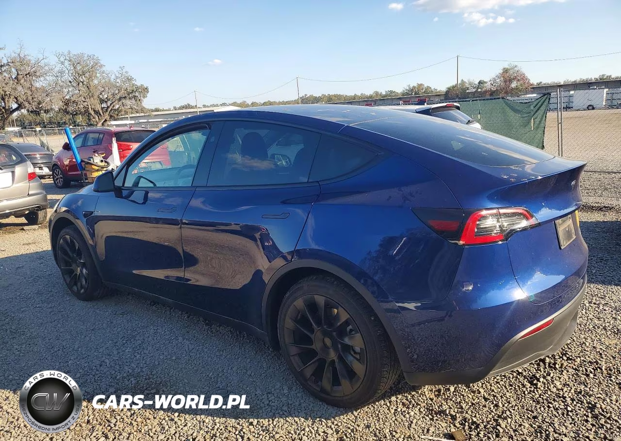 2023 Tesla Model Y VIN:7SAYGDEE6PF872238 - 2