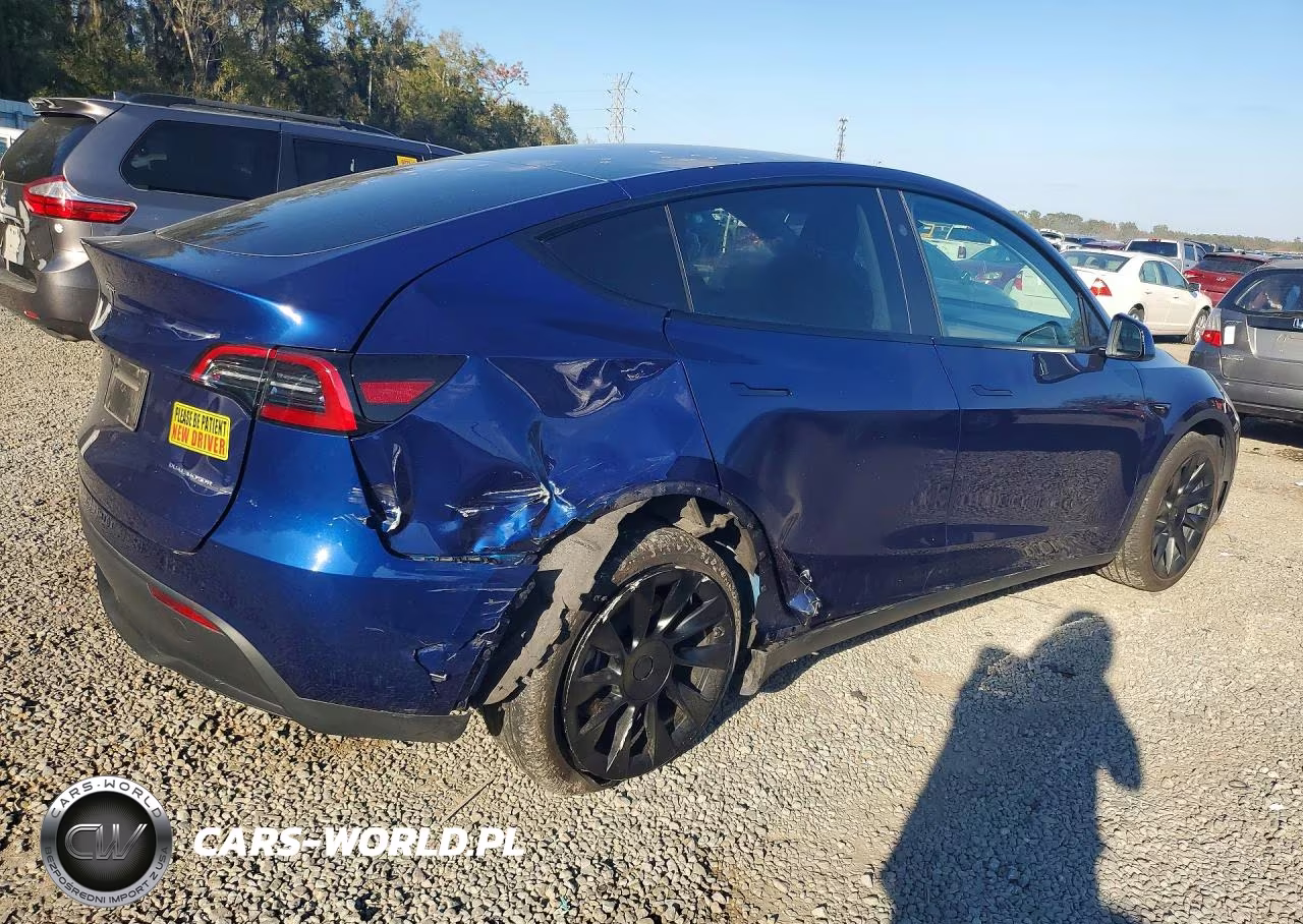 2023 Tesla Model Y VIN:7SAYGDEE6PF872238 - 3