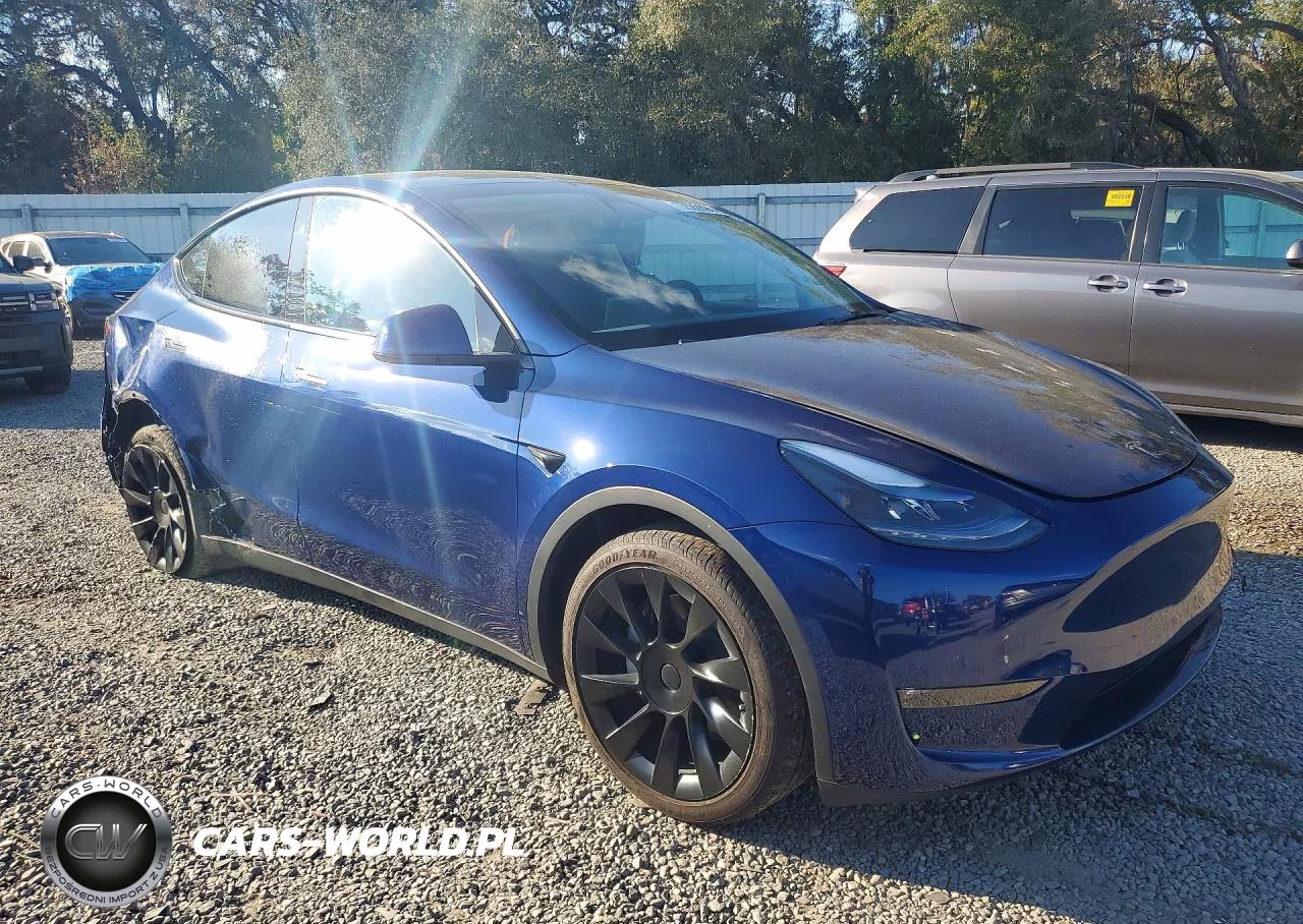 2023 Tesla Model Y VIN:7SAYGDEE6PF872238 - 4