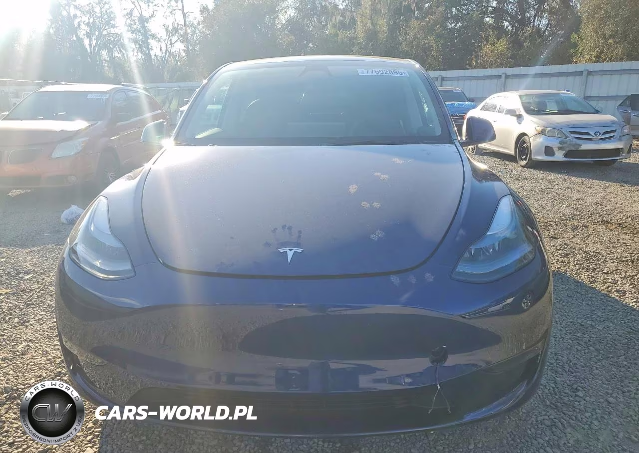2023 Tesla Model Y VIN:7SAYGDEE6PF872238 - 5