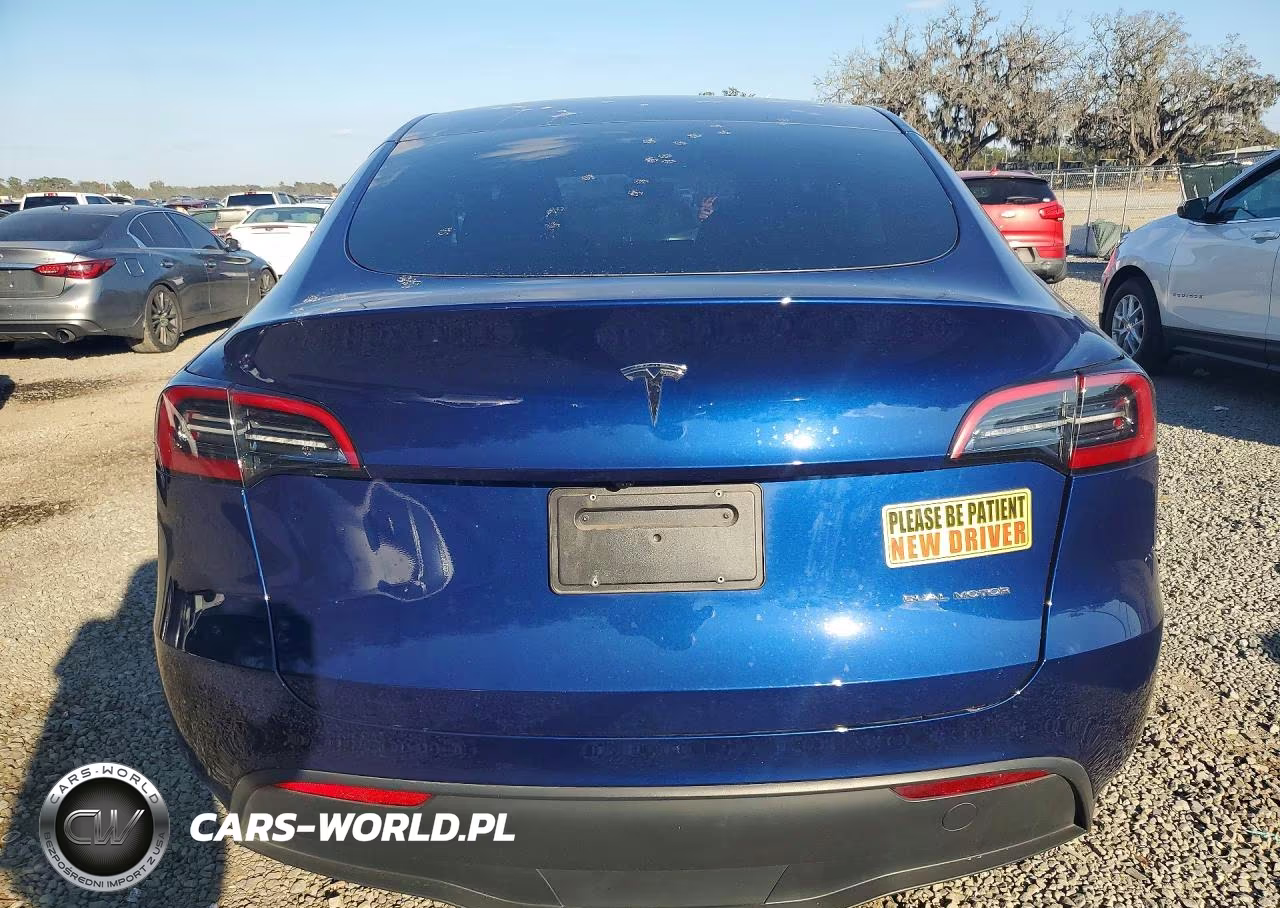 2023 Tesla Model Y VIN:7SAYGDEE6PF872238 - 6