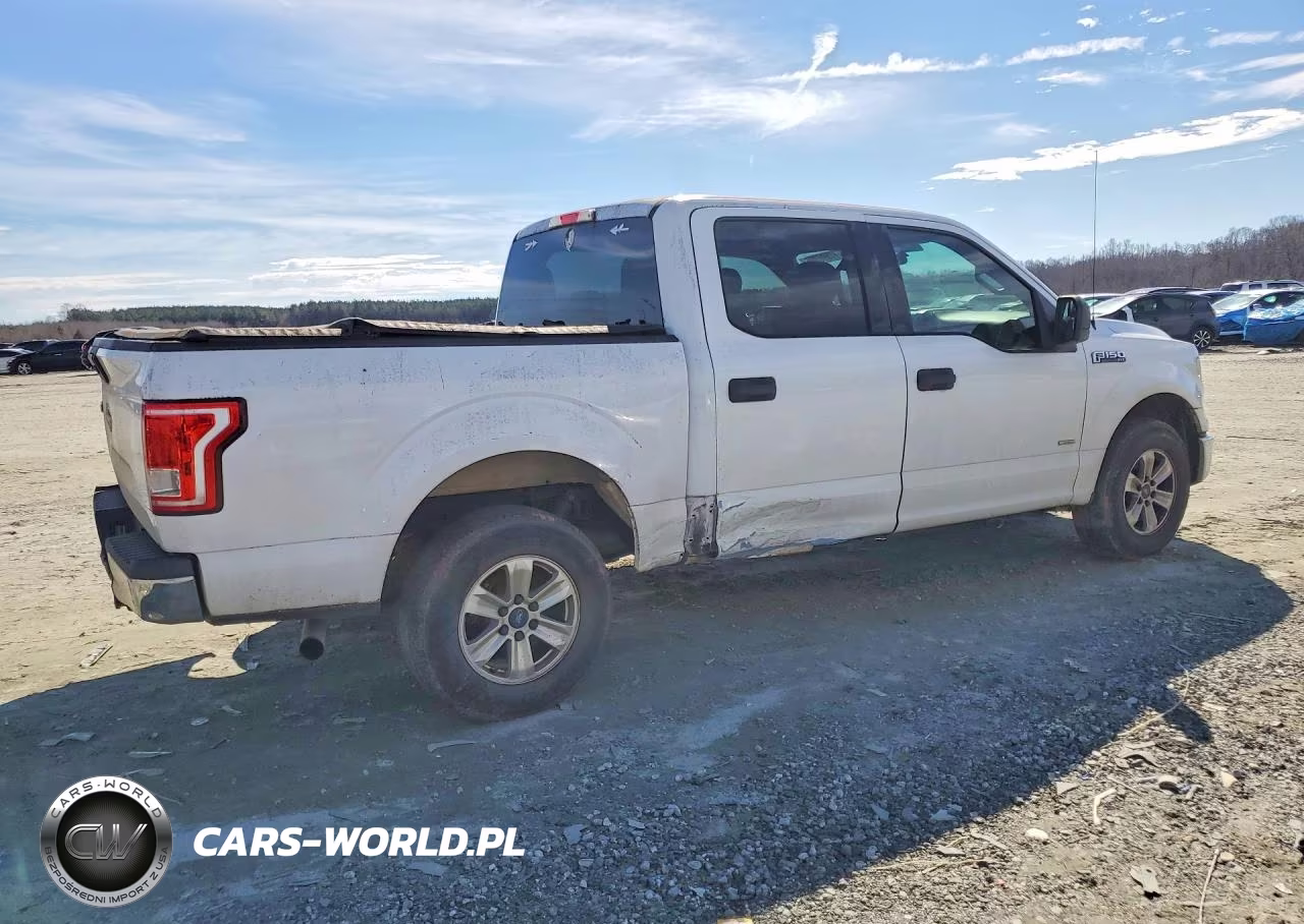 2016 Ford F150 Supercrew VIN:1FTEW1CG0GFA17276 - 3