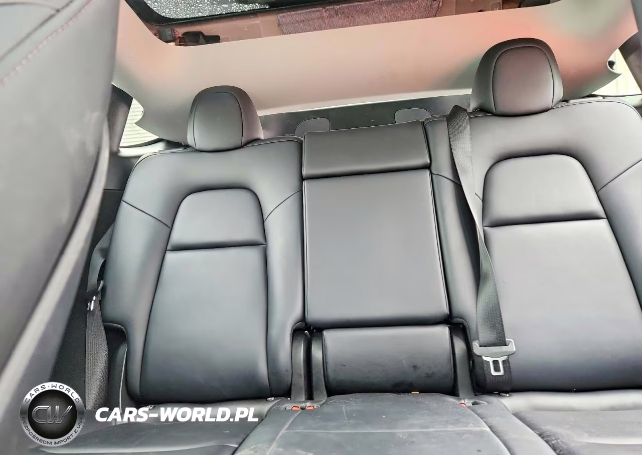 2023 Tesla Model Y VIN:7SAYGDEE3PF589568 - 10