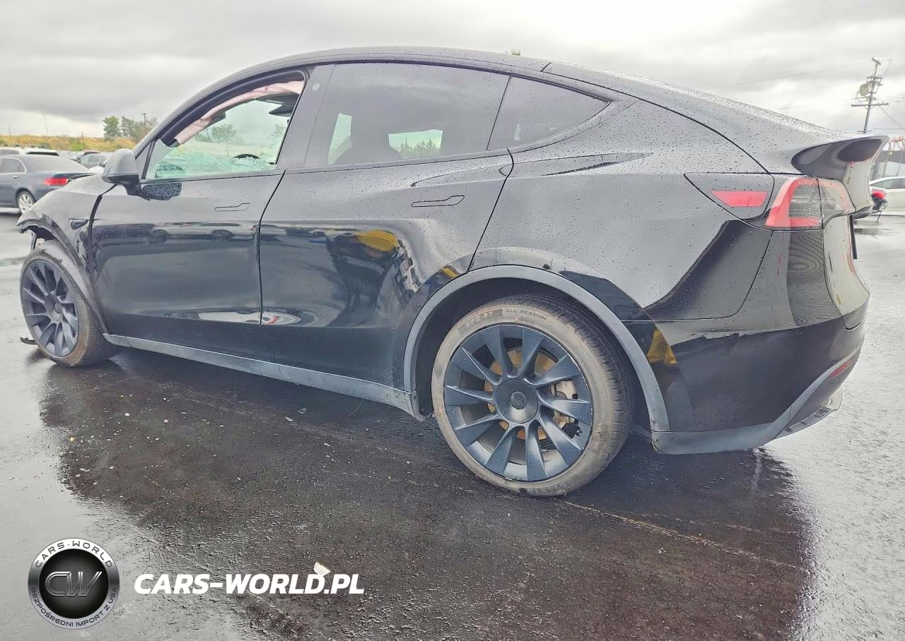 2023 Tesla Model Y VIN:7SAYGDEE3PF589568 - 2