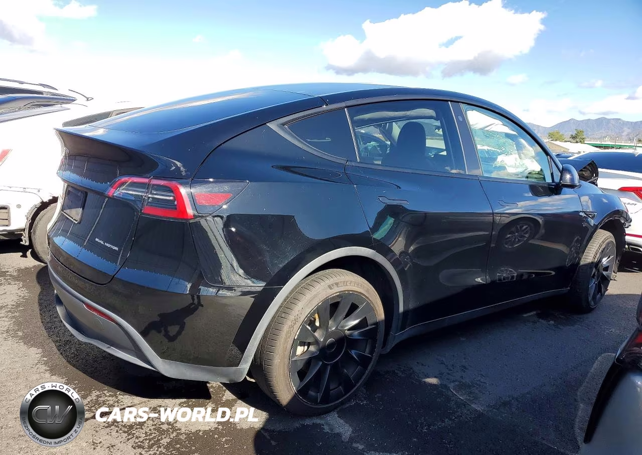 2023 Tesla Model Y VIN:7SAYGDEE3PF589568 - 3